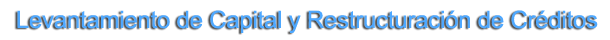 Levantamiento de Capital